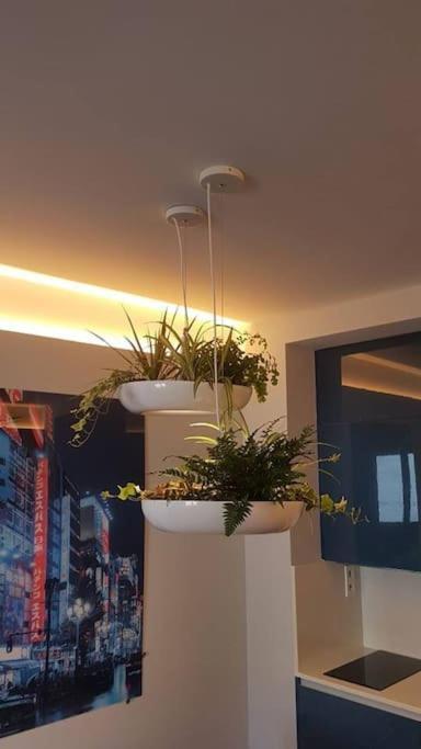 Apartamento Por Temporada Centro Diseno Madrid Eksteriør bilde